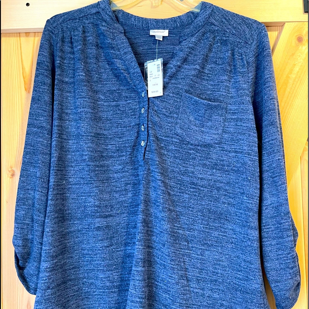 Blue Ling Sleeve Avenue Top
